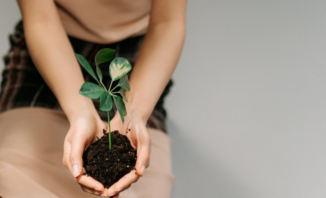"Etyczne marki – czym są i jak zyskać zaufanie eko-konsumentów? Sprawdź"